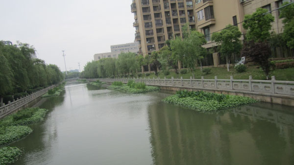 保利東江黑臭河道修復(fù)項(xiàng)目